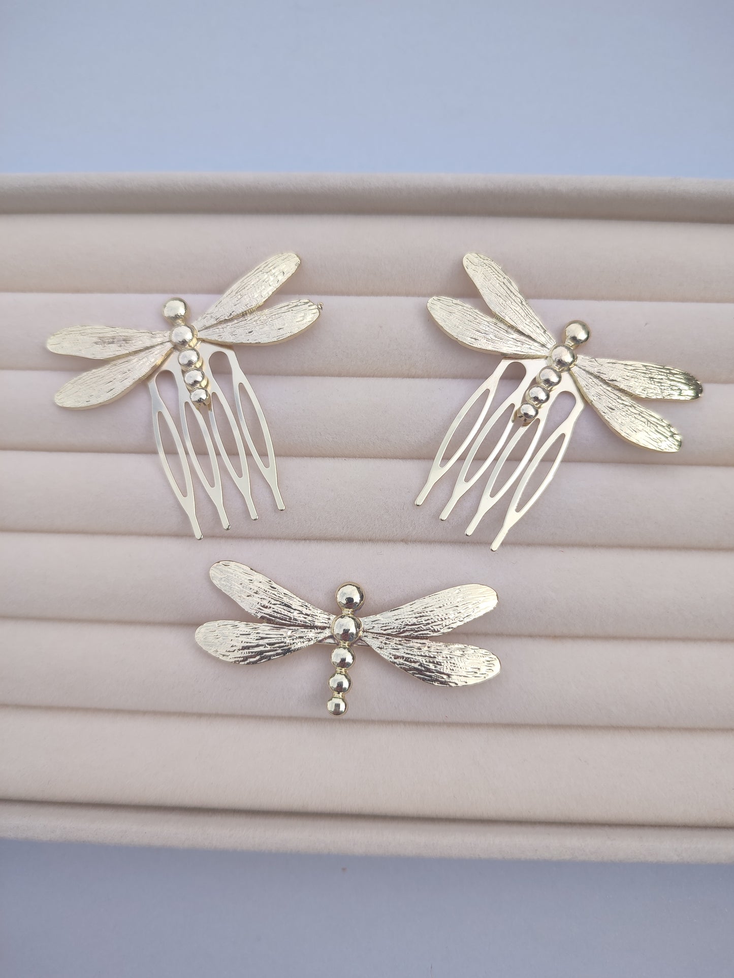 Conjunto libélulas
